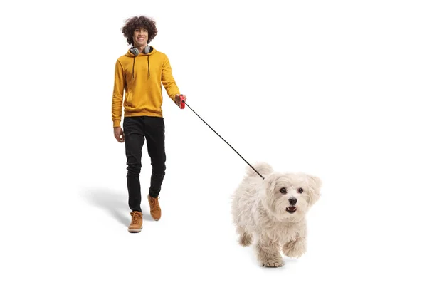 男とともにヘッドフォン歩くとA Malteseプール犬上の鉛隔離された上の白い背景 — ストック写真