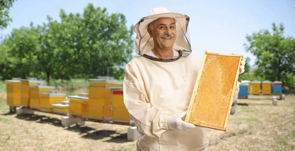 Bijenhouder Uniform Bijenstal Met Een Honingbijenframe — Stockfoto