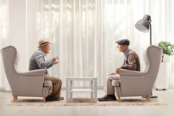 Two elderly men sitting in armchairs and having a conversation in a living room