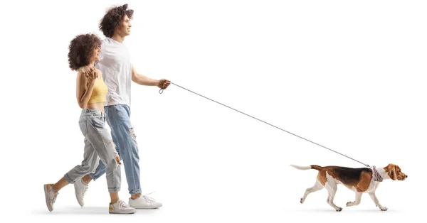 Full Length Profile Shot Boyfriend Girlfriend Walking Beagle Dog Isolated — Fotografia de Stock