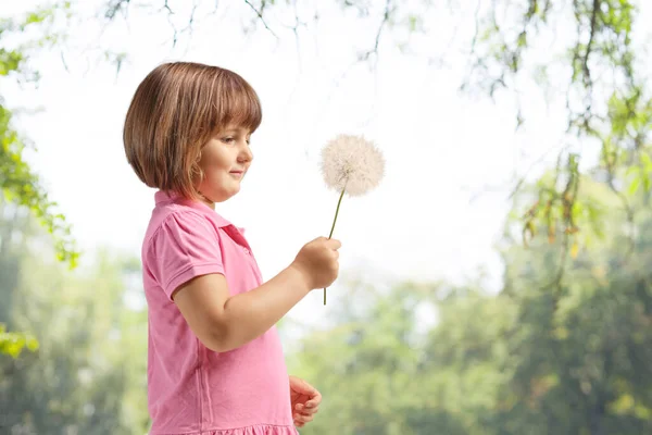 Profile Shot Cute Little Girl Holding Dandelion Park Outdoors — Fotografia de Stock