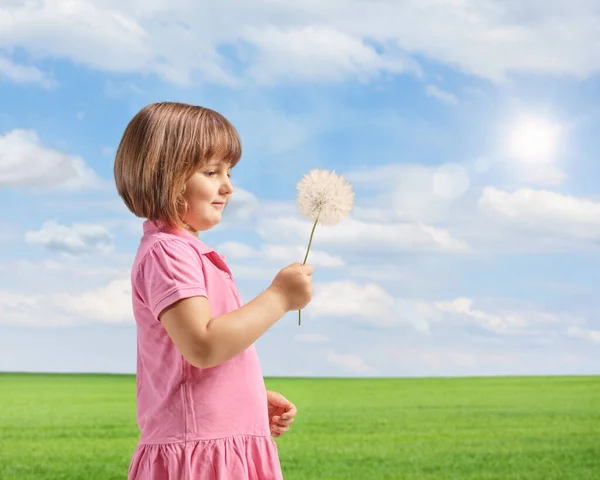 Little Girl Holding Dandelion Outdoors Grass Field — Fotografia de Stock