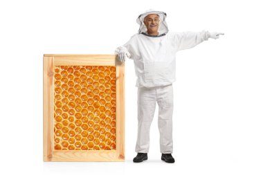 Üniformalı olgun bir erkek arı bakıcısı büyük bir bal peteği çerçevesine yaslanıyor ve beyaz arka planda izole edilmiş bir yeri işaret ediyor.