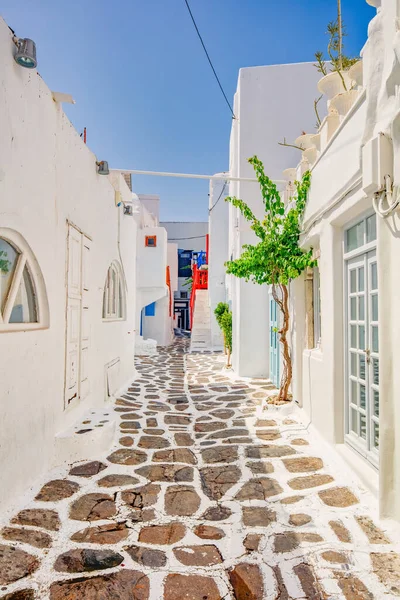 Beyaz evler arasında Mykonos şehrinde bir sokak. 