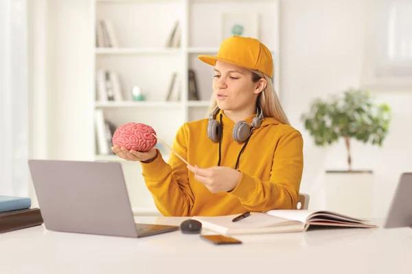 Female medical student studying at home in front of a laptop computer and holding a brain model