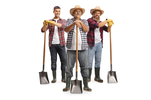 Full Length Portrait Male Farmers Standing Shovels Isolated White Background — Zdjęcie stockowe