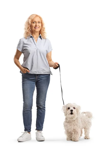 Full Length Portrait Mature Woman Maltese Poodle Dog Lead Isolated — Stockfoto