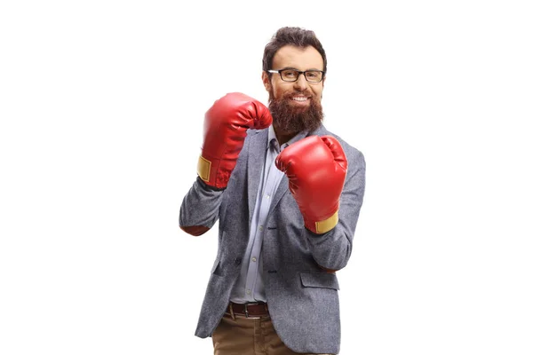 Smiling Bearded Man Boxing Gloves Standing Guard Isolated White Background — Foto Stock