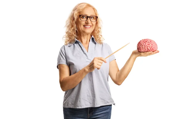 Casual Woman Holding Human Brain Pointing Stick Isolated White Background — Photo