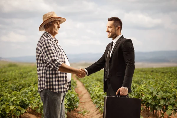 Farmer Shaking Hands Businessman Vineyard Grape Nursery Stock — Stock Photo, Image