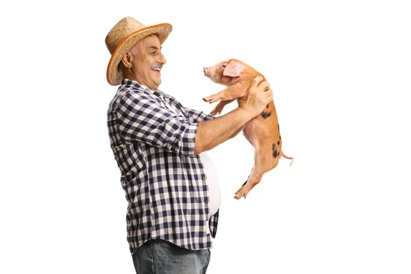 Glückliche Reife Bauern Halten Ein Kleines Schwein Und Lächeln Isoliert — Stockfoto