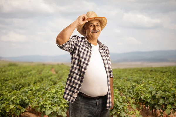 Petani Dewasa Berdiri Sebuah Pembibitan Anggur Dan Menyapa Dengan Topi — Stok Foto