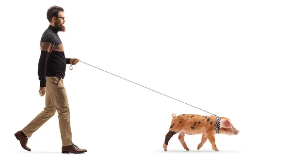 Full Length Profile Shot Bearded Man Walking Piglet Pet Isolated — Stock Photo, Image