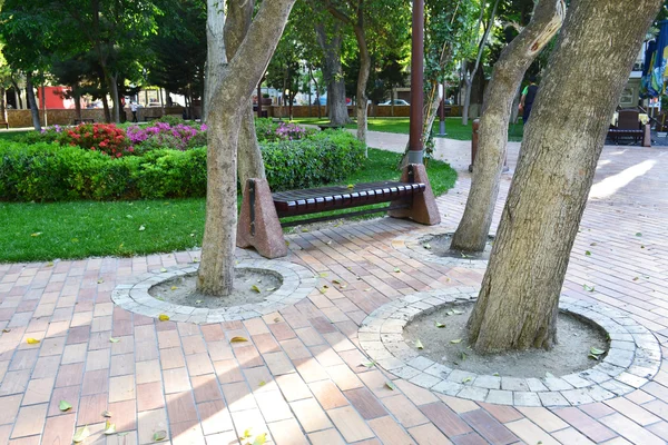 Bench in the park — Stock Photo, Image