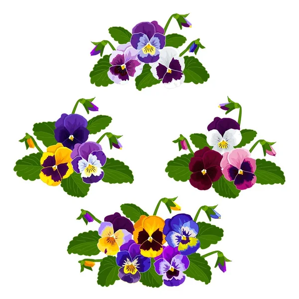 Bahar, Sets Pansies buketleri, çiçek aranjmanları. Çiçekler sarı, mavi, mor, leylak, pembe, bordo. Vektör resmi.