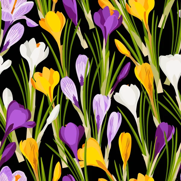 Crocus desenleri, bahar arkaplanı, siyah arka planda çiçekler. Giysi tasarlamak için arka plan, ambalaj kağıdı için arka plan, kumaş için desen. Vektör resmi.