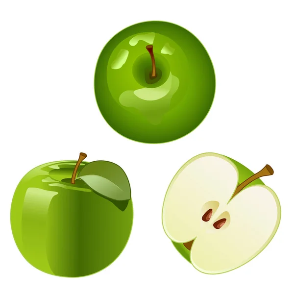 Grüne Apfelvektorzeichnung Halber Apfel Apple Draufsicht Isoliert — Stockvektor