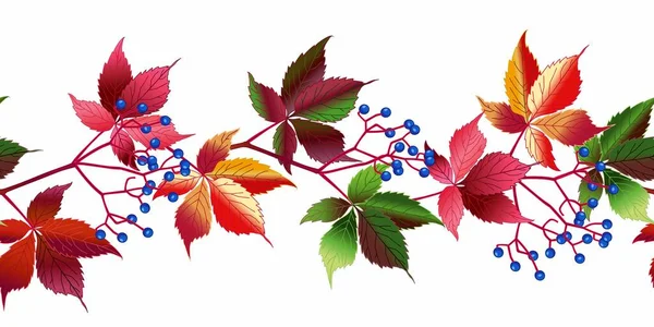 Autumn Ornament Grapevine Wild Grapes Red Leaves Blue Berries Vector 免版税图库矢量图片