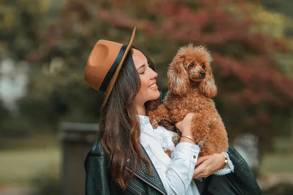 Güzel, genç, siyah saçlı bir kadın parkta yürüyor ve kaniş köpeğine sarılıyor. Sonbahar havası. Düş.