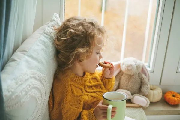 Pequeña linda chica de pelo rizado en jersey de punto es beber té y comer galletas en frente de la ventana. Acogedora casa. Otoño cálido. — Foto de Stock