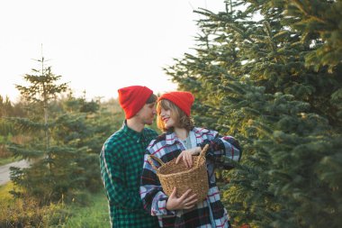 Noel zamanı. Kırmızı şapkalı ve kazaklı mutlu çift Noel ağacını süslüyor.