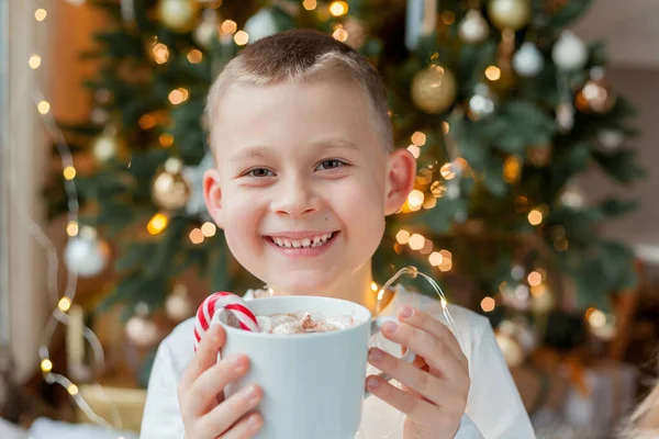 穿着节日睡衣的可爱的6岁男孩坐在圣诞树旁 手里拿着一大杯热可可 上面装饰着棉花糖和棒棒糖 寒假农历新年 — 图库照片