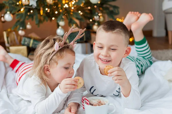穿着节日睡衣的可爱的小男孩和小女孩坐在圣诞树旁 喝着热可可和棉花糖 还有圣诞装饰中的棒棒糖 寒假农历新年 — 图库照片