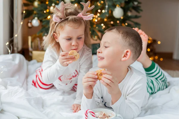 크리스마스 잠옷을 스러운 소녀가 크리스마스 장식에 마시멜로와 롤리팝 뜨거운 코코아를 — 스톡 사진