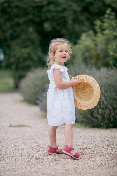 Portrait Cute Little Curly Blue Eyed Girl Years Old Wicker — Stock Photo, Image