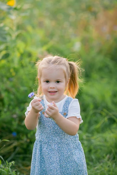 Happy Little Girl Years Old Sunflower Field Sun Cute Child — Foto de Stock