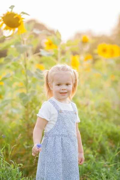 Happy Little Girl Years Old Sunflower Field Sun Cute Child — Stok fotoğraf