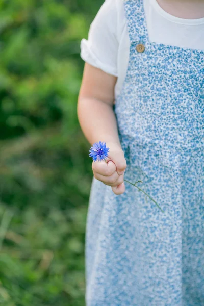 Happy Little Girl Years Old Sunflower Field Sun Cute Child —  Fotos de Stock