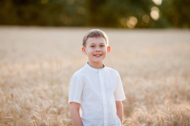 Adorable little blonde boy 8 years old in the sun at sunset in a wheat field. Happy child outside. Walk. Warm summer.
