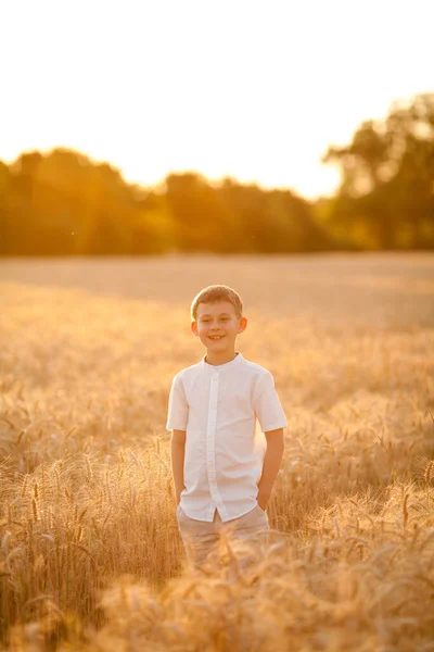 Adorable Little Blonde Boy Years Old Sun Sunset Wheat Field — Stock fotografie