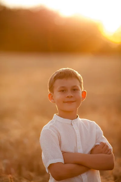 Adorable Little Blonde Boy Years Old Sun Sunset Wheat Field — Fotografia de Stock