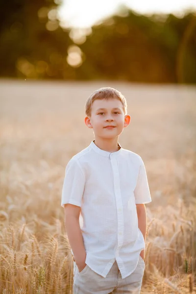 Adorable Little Blonde Boy Years Old Sun Sunset Wheat Field — Stock fotografie