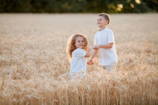 Adorable Little Boy Girl Sun Sunset Wheat Field Happy Kids — 图库照片