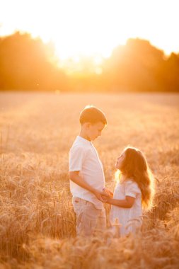 Adorable little boy and girl in the sun at sunset in a wheat field. Happy kids outside. Walk. Warm summer.