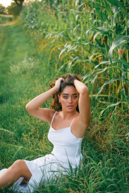 Delightful young woman in a white sundress in a field of green corn in the sunset light. Portrait of a beautiful model with dark long curly hair. Summer. Harvest. Eco. Bio.