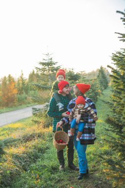 A young beautiful family chooses a Christmas tree in the market. Festive winter holidays for parents and young children.