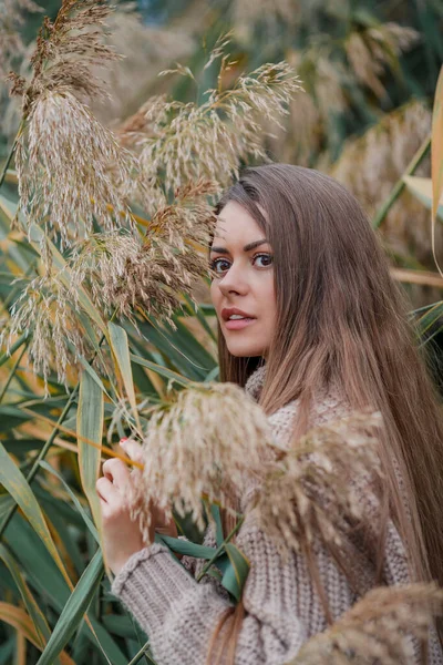 Красивая Молодая Женщина Длинными Волосами Карими Глазами Осеннем Парке Портрет — стоковое фото