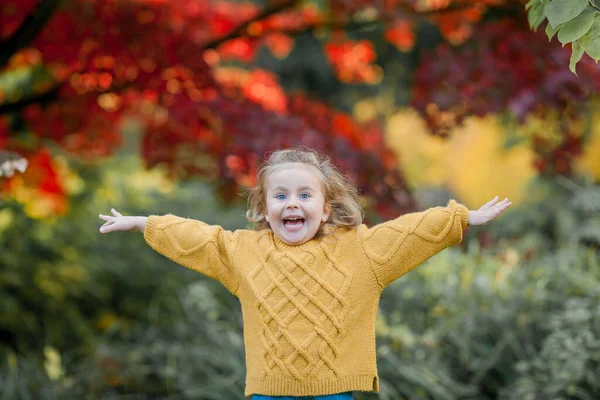 穿着针织毛衣的3岁可爱的小女孩走在秋天的一个明亮的公园里 一个快乐孩子的画像 — 图库照片