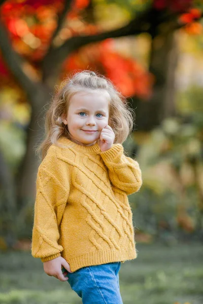 ニットのセーターを着た3歳のかわいい女の子が秋の明るい公園を歩いています 幸せな子供の肖像画 — ストック写真