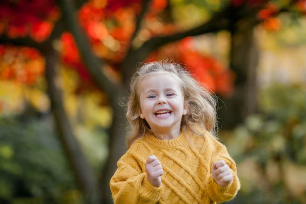 穿着针织毛衣的3岁可爱的小女孩走在秋天的一个明亮的公园里 一个快乐孩子的画像 — 图库照片