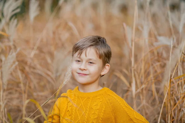 Cute Little Boy Lat Gra Jesiennym Parku Jasny Portret Szczęśliwego — Zdjęcie stockowe