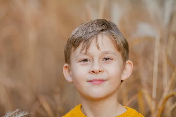 Söt Liten Pojke Spelar Höstens Ljusa Park Porträtt Ett Lyckligt — Stockfoto