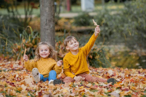 Söt Liten Flicka Stickad Tröja Och Pojke Spelar Höstljus Park — Stockfoto