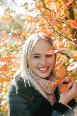 Güz parkındaki güzel sarışın kadın. Sıradan giysiler içinde mutlu bir mankenin portresi. Rahat..