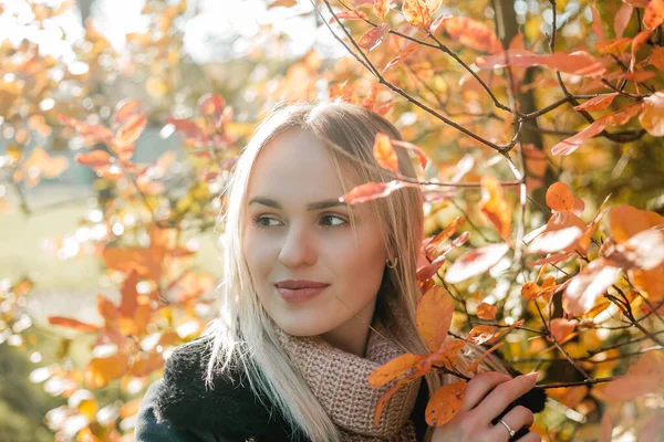 Mulher Loira Jovem Bonita Parque Outono Retrato Modelo Feliz Roupas — Fotografia de Stock