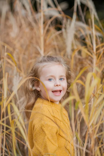 秋の明るい公園でかわいい女の子3歳の演劇 幸せな子供の肖像画 — ストック写真